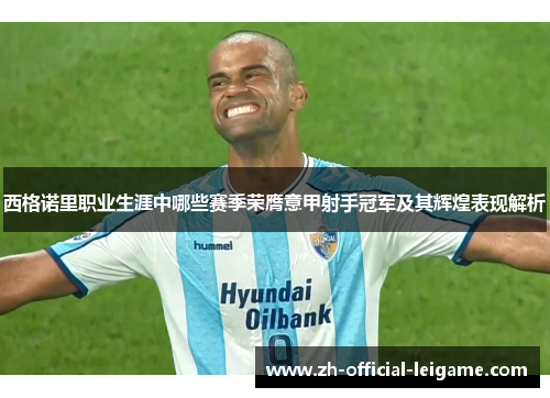 西格诺里职业生涯中哪些赛季荣膺意甲射手冠军及其辉煌表现解析